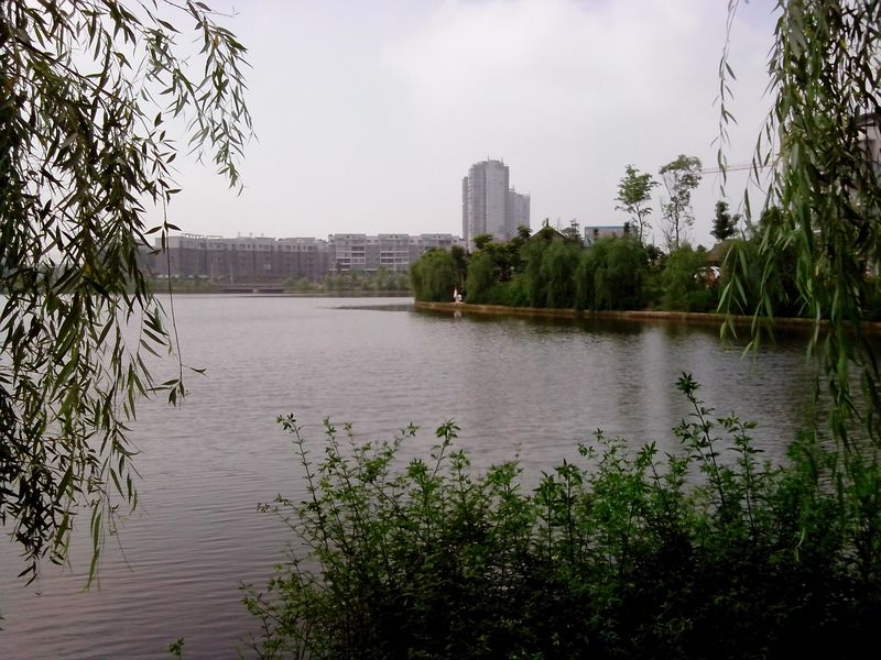 25、美丽的岳池东湖.jpg