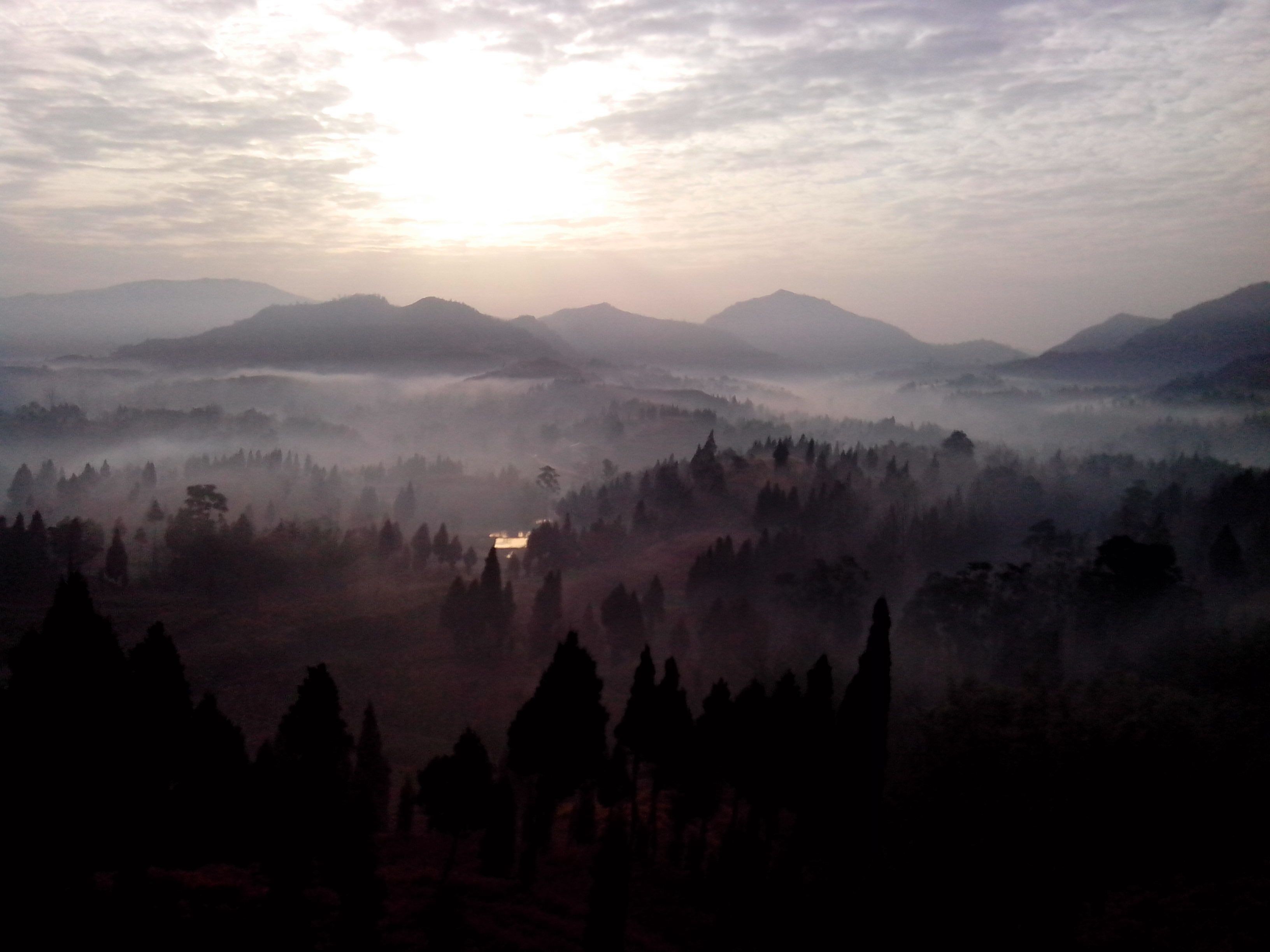 QQ图片20131128192424.jpg
